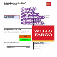 6 Months Wells Fargo Bank Statement Template